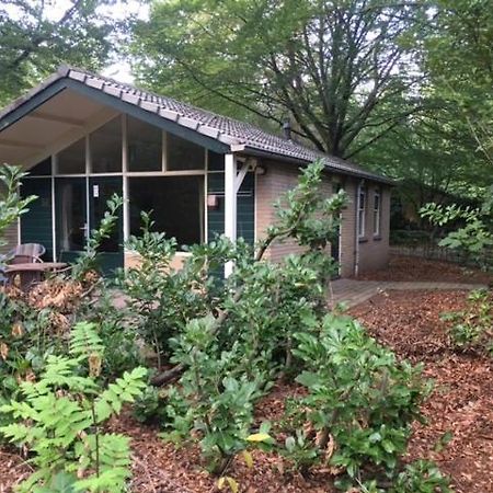 Vakantiebungalow De Schaapskooi Epe Eksteriør billede