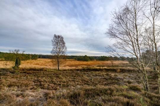Vakantiebungalow De Schaapskooi Epe Eksteriør billede